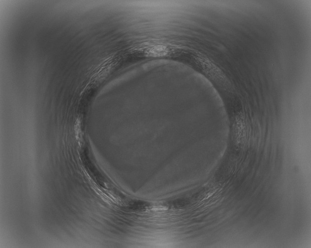 X0000052920598200507292328