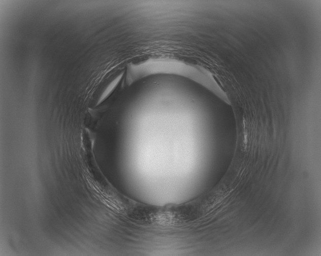 X0000052920600200507292328