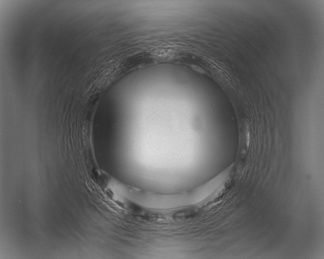 X0000052920601200507292328