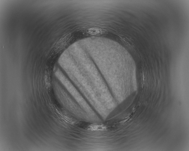 X0000052920606200507292328