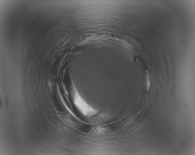 X0000052920607200507292328