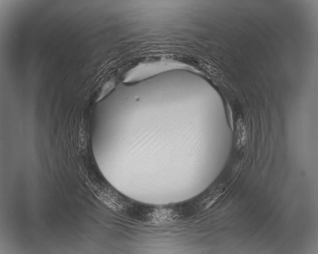 X0000052920609200507292328