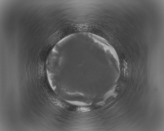 X0000052920610200507292328