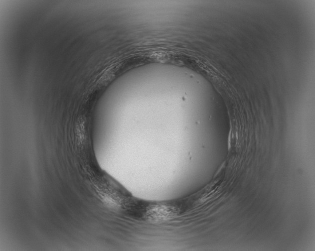 X0000052920611200507292328