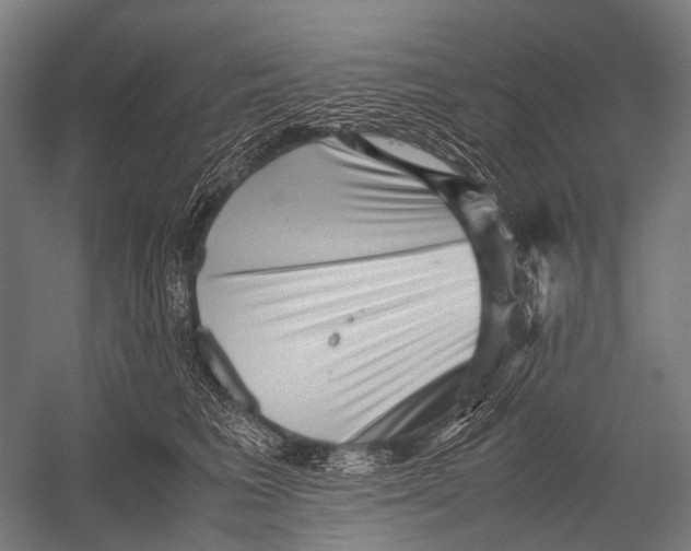 X0000052920613200507292328