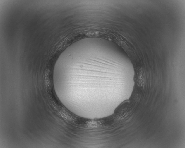 X0000052920616200507292328