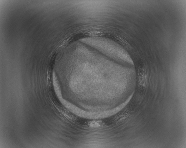 X0000052920618200507292328