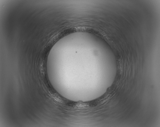 X0000052920619200507292328