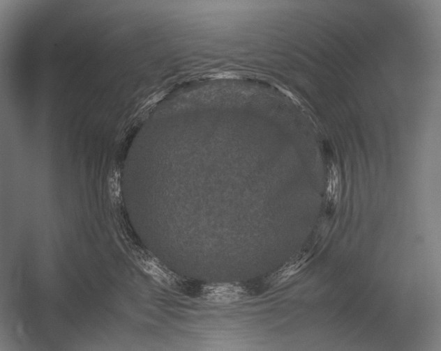 X0000052920621200507292327