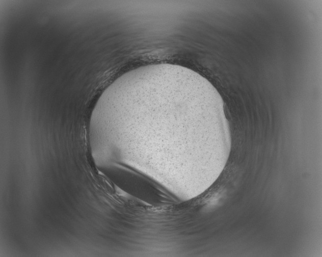 X0000052920624200507292327