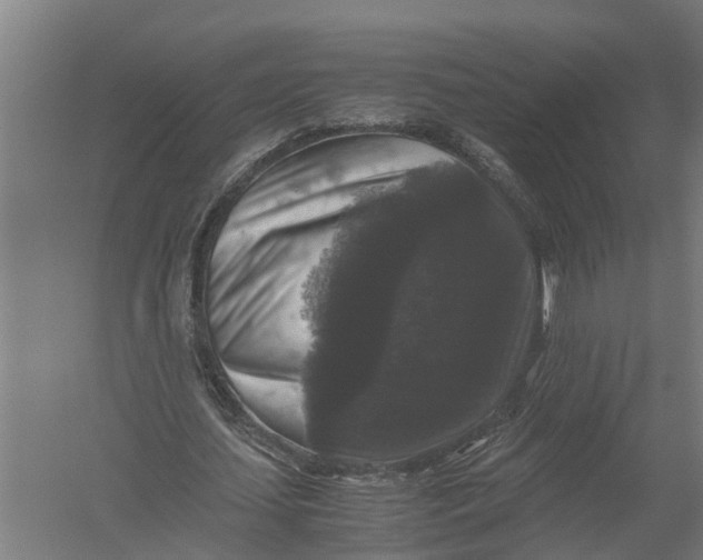 X0000052920627200507292327