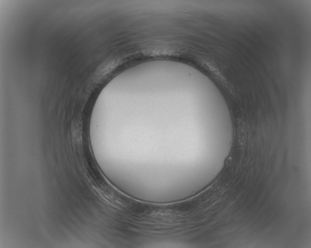 X0000052920631200507292327
