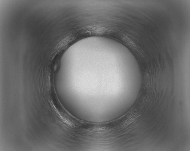 X0000052920638200507292327