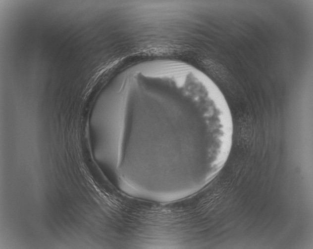 X0000052920640200507292327