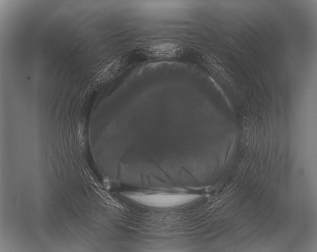 X0000052920641200507292327