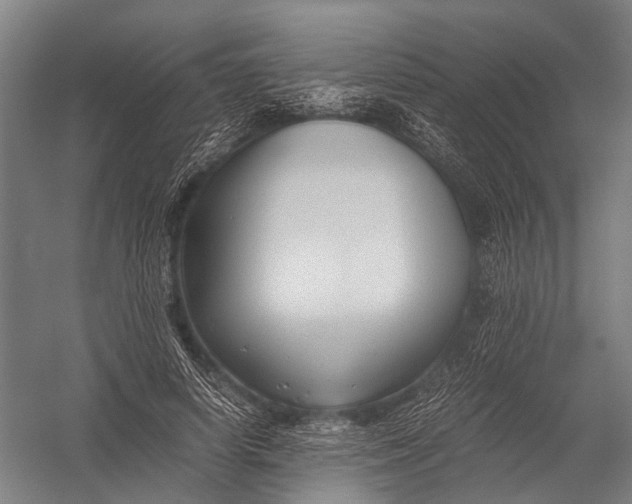 X0000052920642200507292327