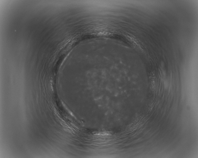 X0000052920643200507292327