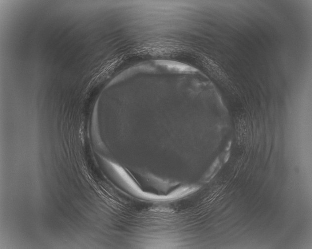 X0000052920644200507292327
