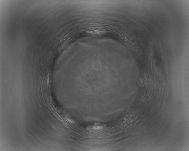 X0000052920647200507292327