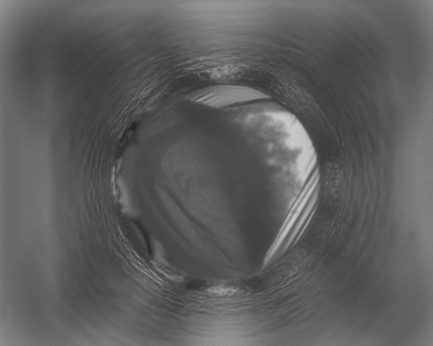 X0000052920650200507292327