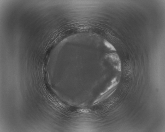 X0000052920654200507292327