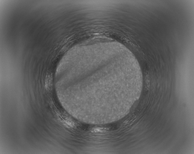 X0000052920657200507292327