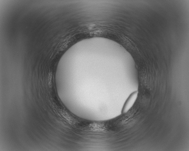 X0000052920660200507292327