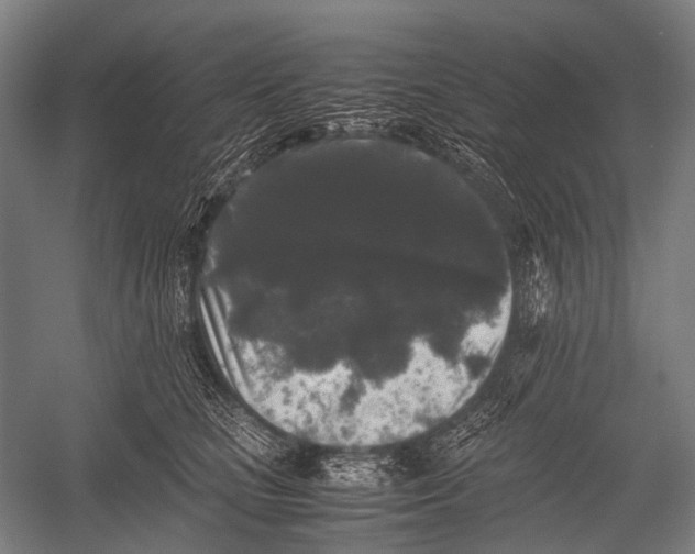 X0000052920661200507292327
