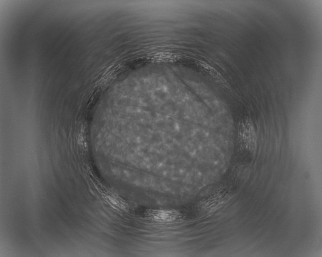 X0000052920663200507292327