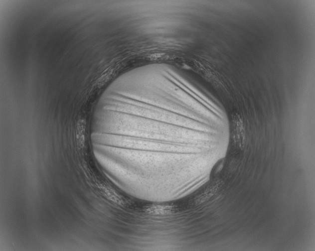 X0000052920664200507292327