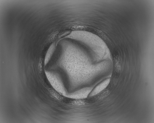 X0000052920668200507292327