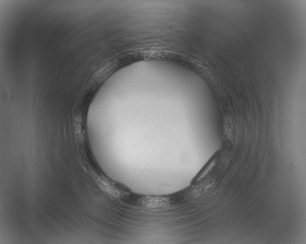 X0000052920670200507292327