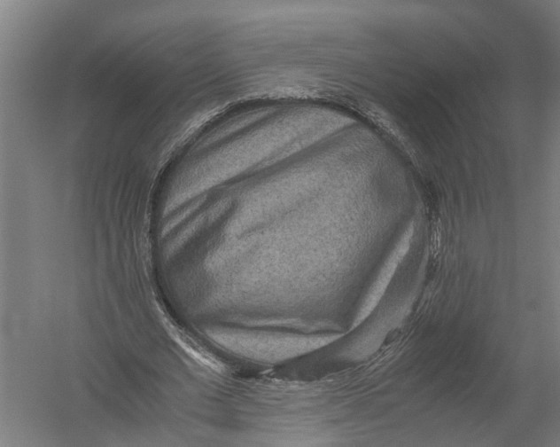 X0000052920677200507292327