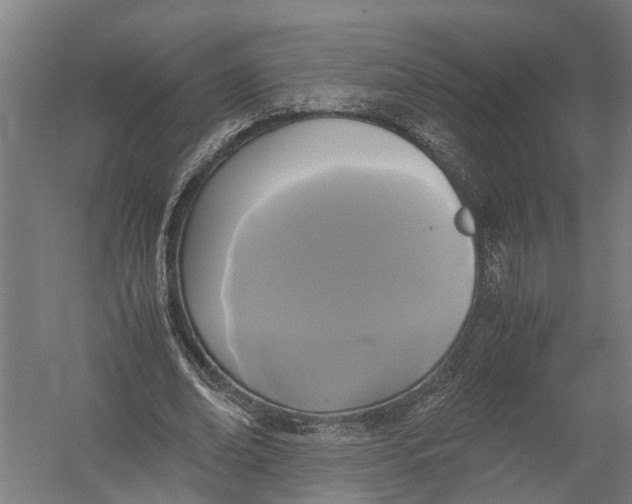 X0000052920678200507292327