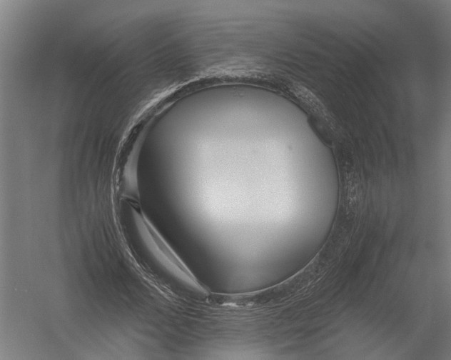 X0000052920680200507292326
