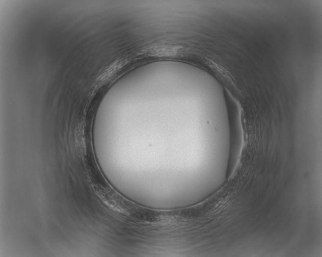 X0000052920682200507292326