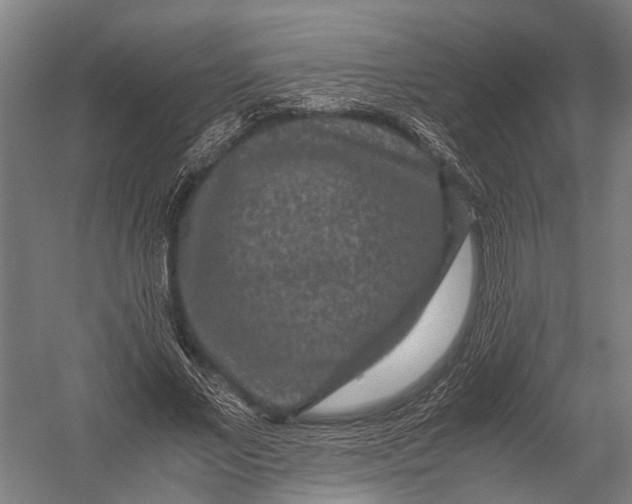 X0000052920685200507292326