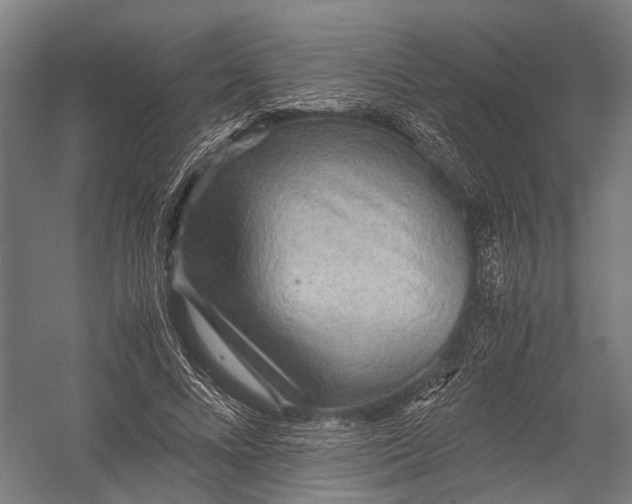X0000052920688200507292326