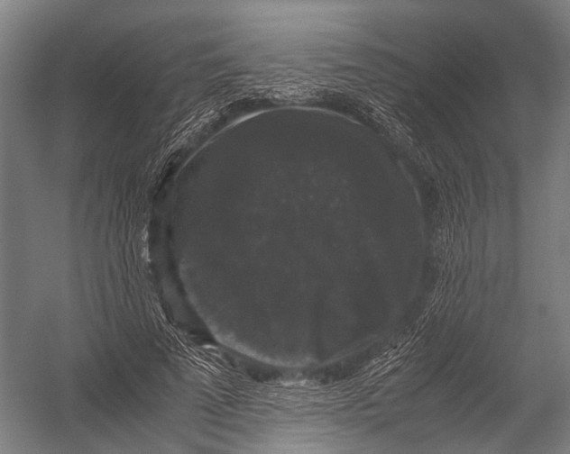 X0000052920689200507292326