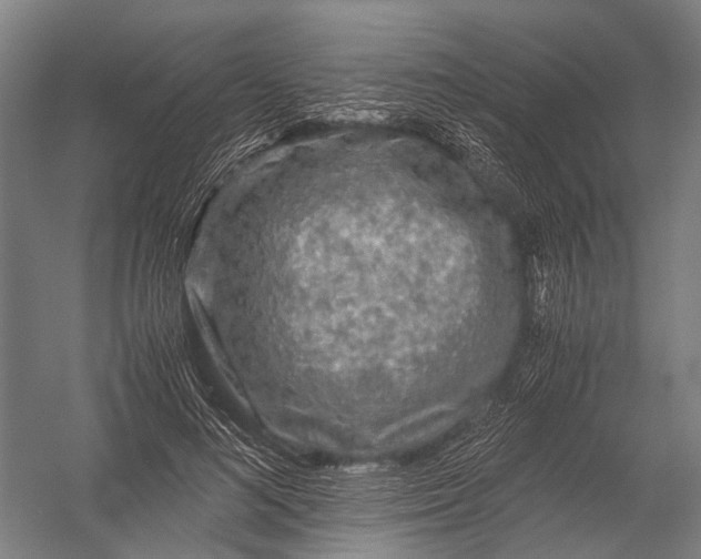 X0000052920692200507292326