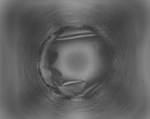 X0000052920693200507292326
