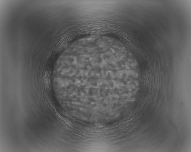 X0000052920695200507292326