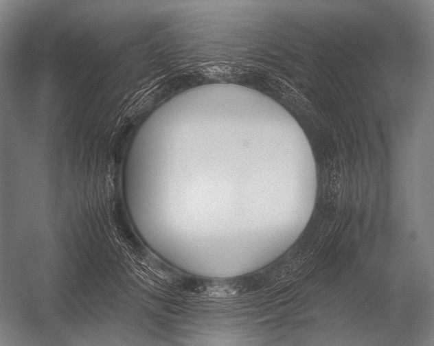 X0000052920702200507292326