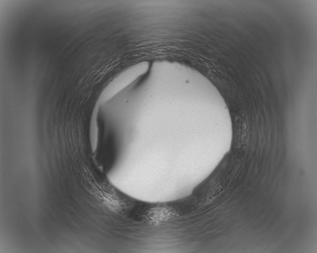 X0000052920704200507292326