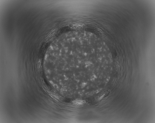 X0000052920711200507292326
