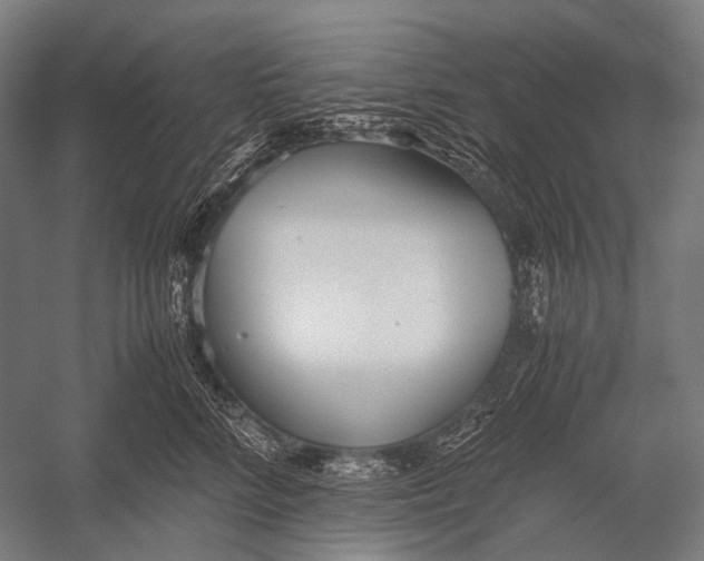 X0000052920712200507292326