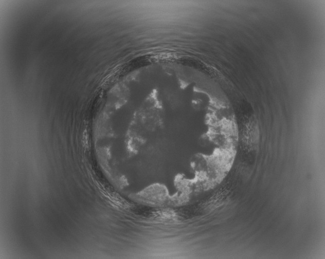 X0000052920715200507292326