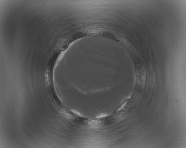X0000052920718200507292326