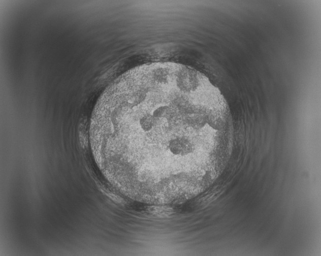 X0000052920719200507292326