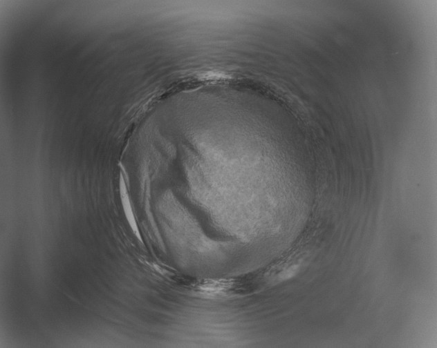 X0000052920720200507292326